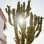 Vhana Corralejo